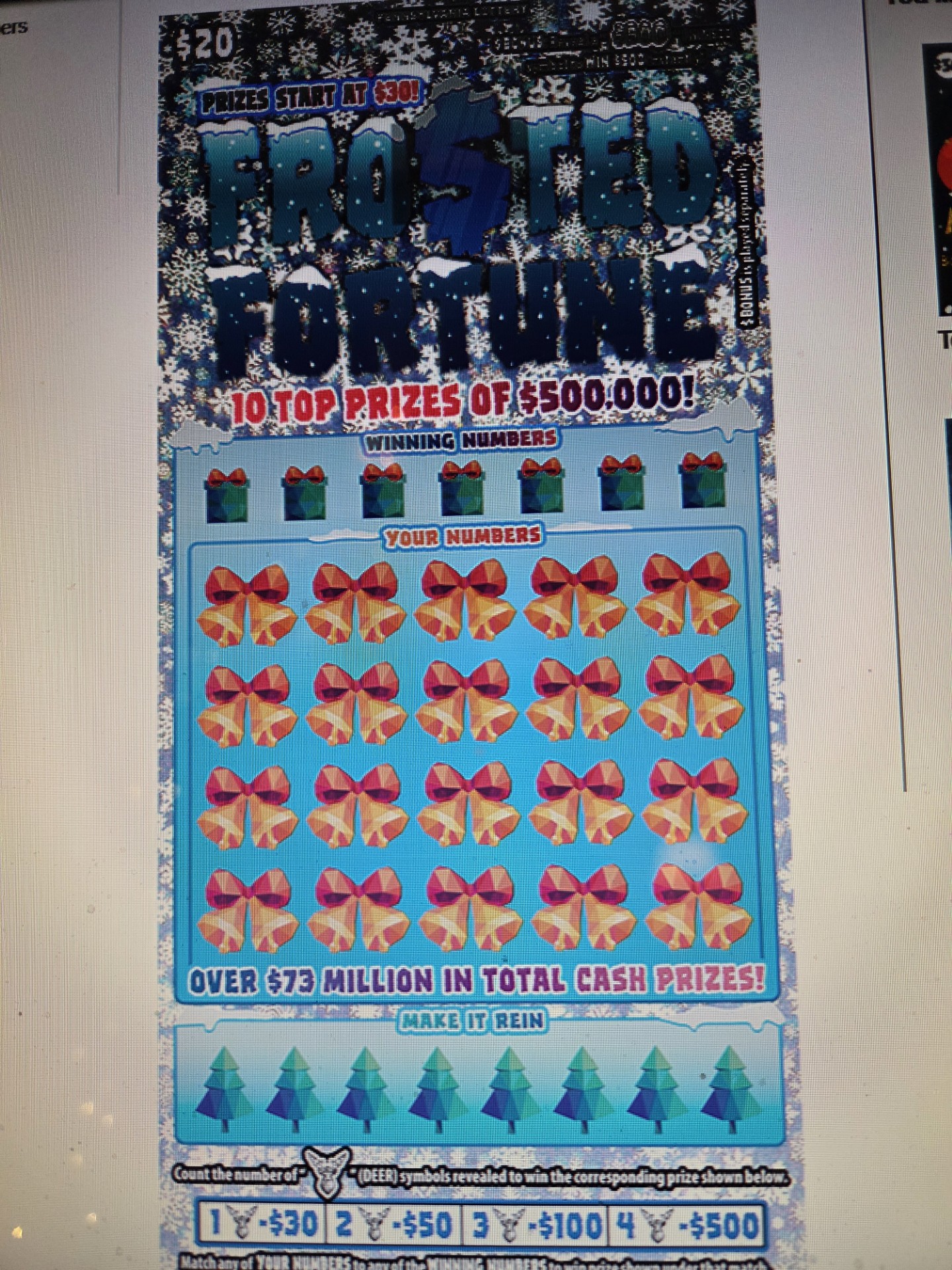 Frosted Fortune Lottery Tickets